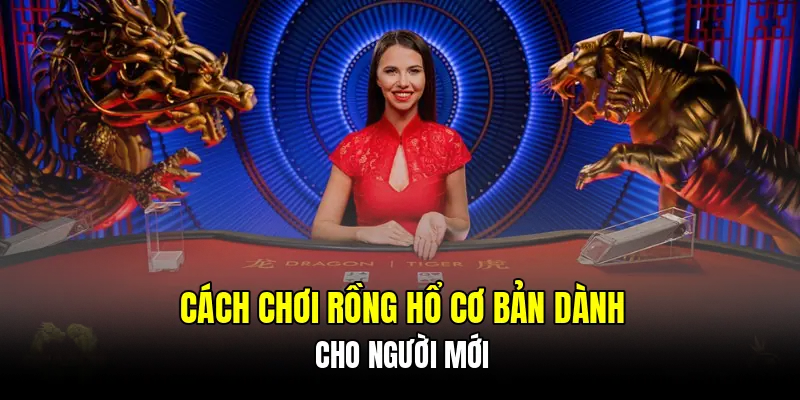 Cách chơi rồng hổ cơ bản dành cho người mới
