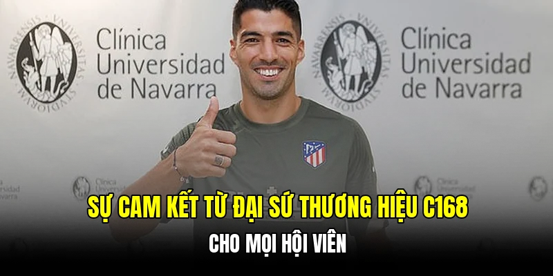 Sự cam kết từ đại sứ thương hiệu C168 cho mọi hội viên
